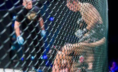  MMA boksörler fighters mücadele halka o kurallar olmadan kavgalarına