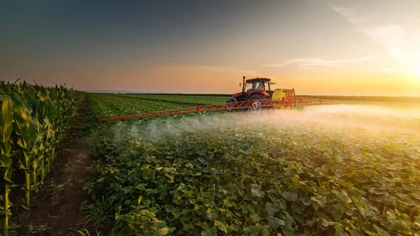 Trator pulverização de pesticidas no campo vegetal com pulverizador em s — Fotografia de Stock