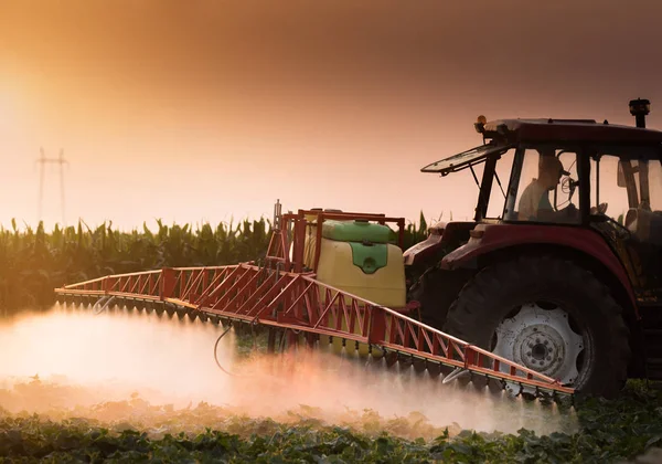Traktor, postřik pesticidy na zeleninové pole s rozprašovačem na s — Stock fotografie
