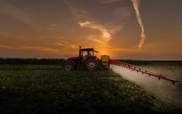 Trekker sproeien van pesticiden op plantaardig gebied met sproeier op s — Stockfoto