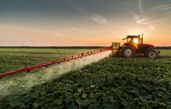 Tractor pulverización de pesticidas en el campo vegetal con pulverizador en s —  Fotos de Stock