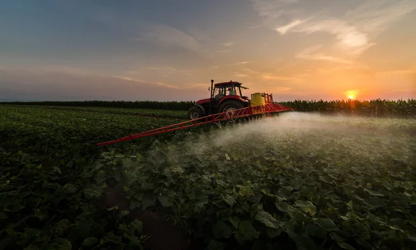 Traktor som sprutar bekämpningsmedel på vegetabiliska fält med spruta på s — Stockfoto