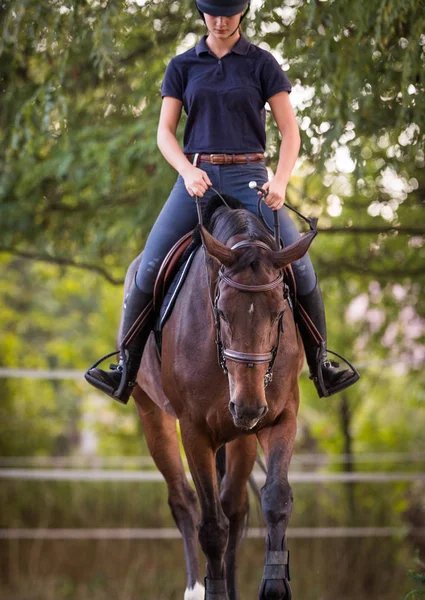 Jeune jolie fille monter un cheval avec des feuilles rétroéclairées derrière — Photo