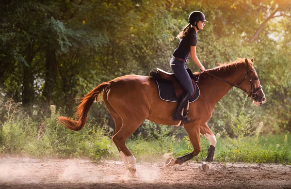 Joven chica bonita - montando un caballo con hojas retroiluminadas detrás —  Fotos de Stock