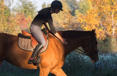 Genç güzel kız - arkadan aydınlatmalı ile bir at binme bırakıyor