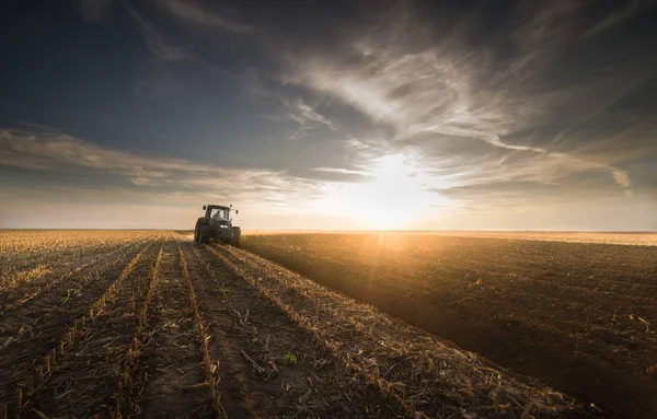 Traktor plöjer fälten - förbereda marken för sådd på hösten — Stockfoto