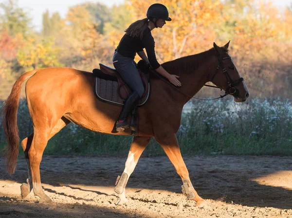 Молодая красивая девушка - верхом на лошади с подсветкой листьев позади — стоковое фото