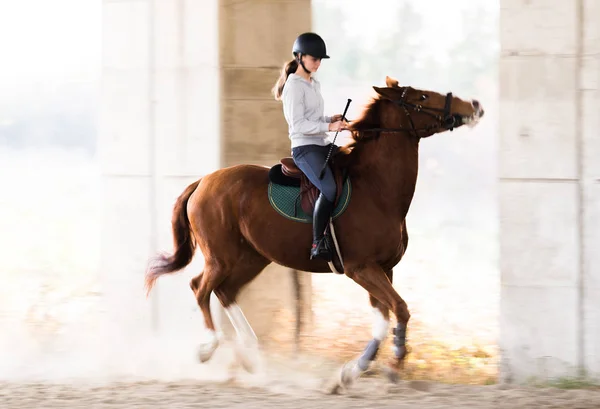 Chica montando un caballo — Foto de Stock