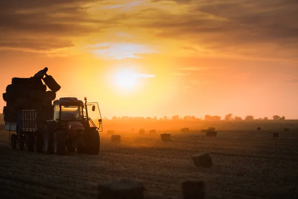 Agricoltore lanciare balle di fieno in un rimorchio trattore — Foto Stock