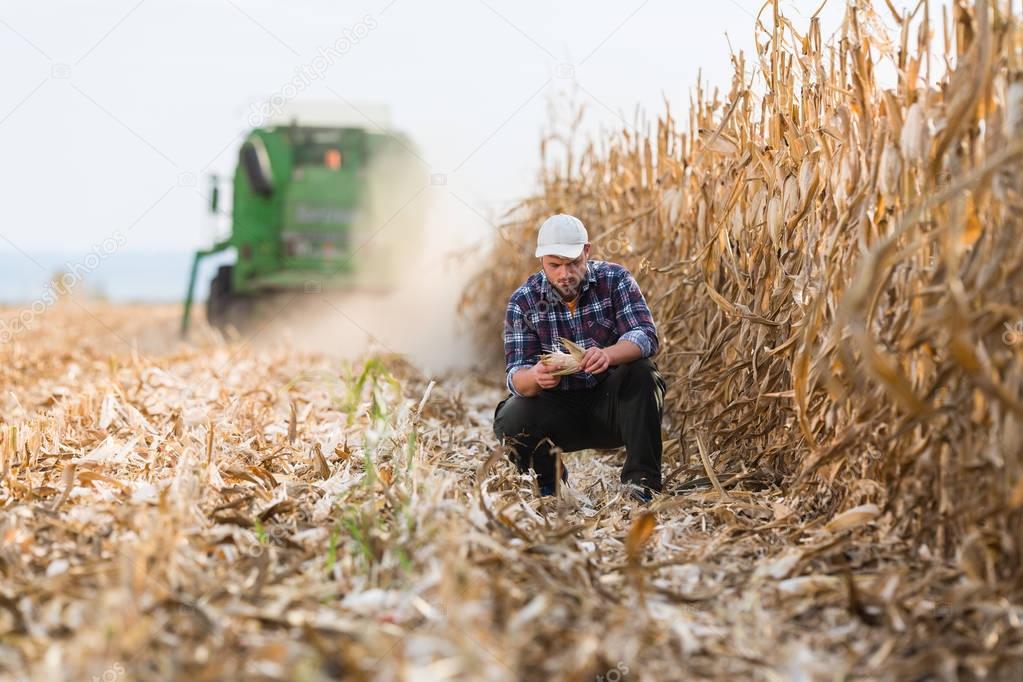 farmer in corn fields