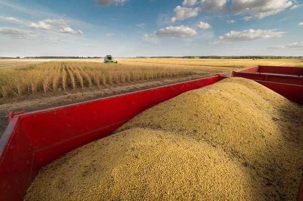 Soya fasulyesi traktör römork — Stok fotoğraf