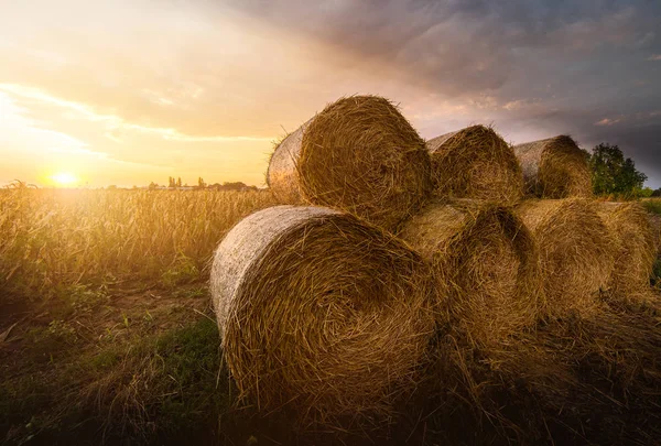 Hay roll bele na polach wsi — Zdjęcie stockowe