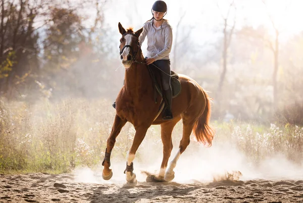 Menina bonita nova - montando um cavalo com folhas retroiluminadas para trás — Fotografia de Stock