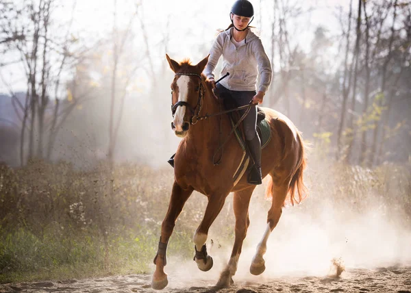 Menina bonita nova - montando um cavalo com folhas retroiluminadas para trás — Fotografia de Stock