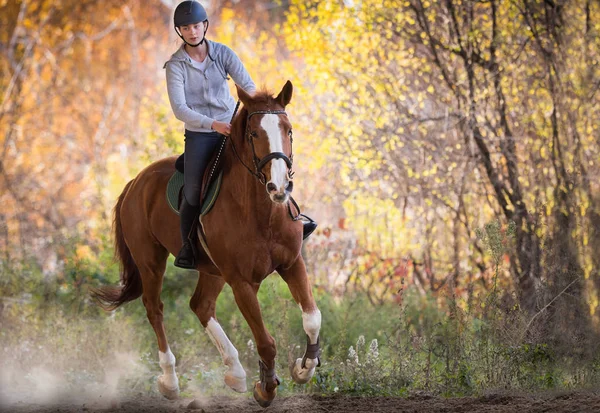 Joven chica bonita - montando un caballo con hojas retroiluminadas detrás —  Fotos de Stock