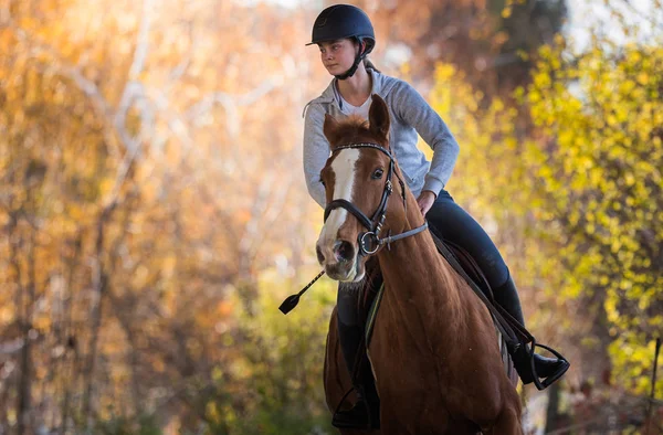 Joven chica bonita - montando un caballo con hojas retroiluminadas detrás — Foto de Stock