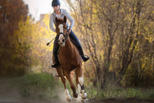 年轻漂亮的女孩-骑着马与背光留在身后 — 图库照片