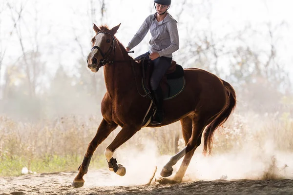 Jeune jolie fille monter un cheval avec des feuilles rétroéclairées derrière — Photo