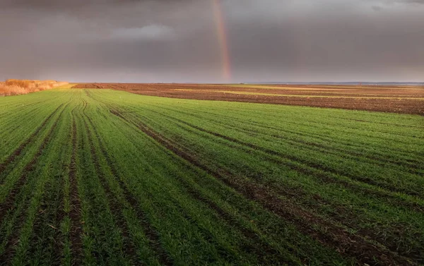 Odlingslandskap, jordbruksgrödor fält — Stockfoto