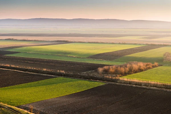 Сільськогосподарський ландшафт, орні посіви — стокове фото