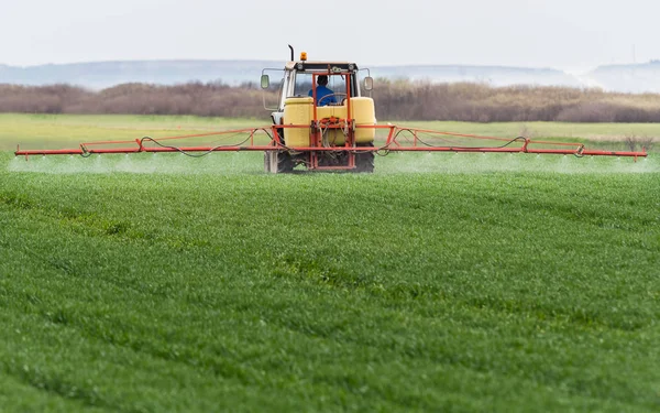 Traktor penyemprotan pestisida di ladang gandum dengan penyemprot pada spr — Stok Foto