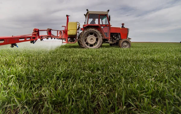 Trattore che spruzza pesticidi sul campo di grano con spruzzatore a sprin — Foto Stock