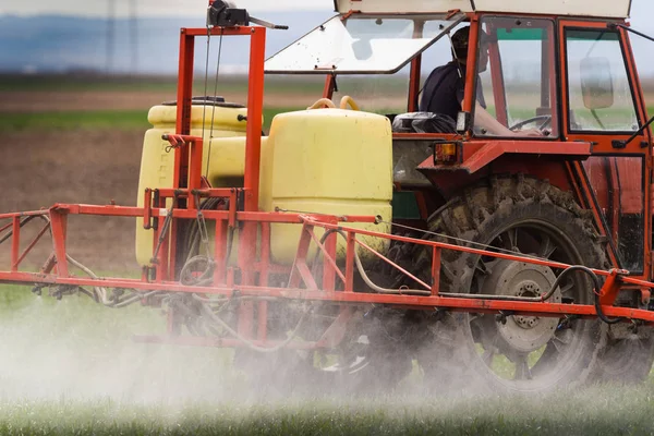 Traktor penyemprotan pestisida di ladang gandum dengan penyemprot di sprin — Stok Foto