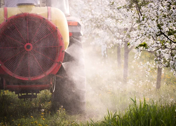 Traktor versprüht Insektizid in Apfelfeld — Stockfoto