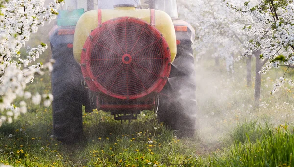 Tractor sprays insecticide in apple orchard field