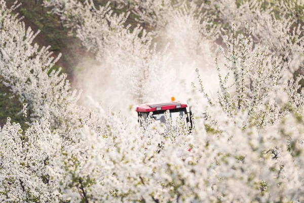トラクターはりんご果樹園畑に殺虫剤をスプレーします。 — ストック写真