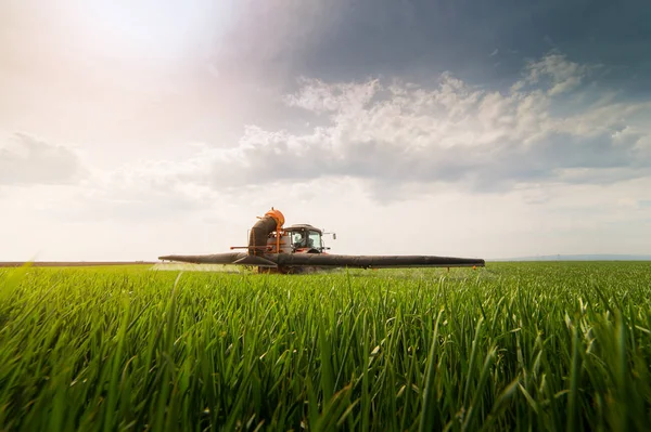 Trekker sproeien van pesticiden op tarweveld met sproeier op sprin — Stockfoto