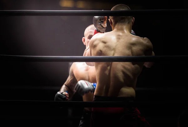 Боксеры ММА борются в боях без правил на ринге о — стоковое фото