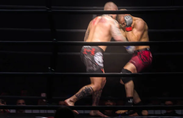 Les boxeurs MMA se battent dans des combats sans règles sur le ring — Photo