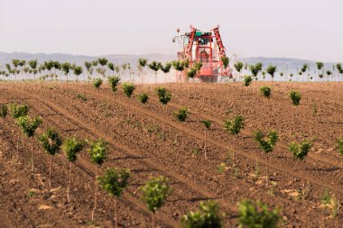 Üzerinde vişne Bahçesi böcek ilacı püskürtme traktör