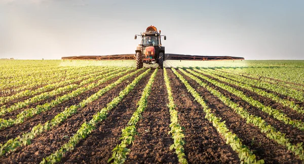 Traktor bespruta sojabönor fält — Stockfoto