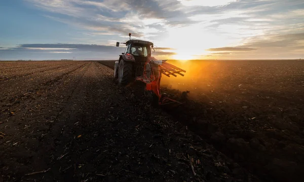 Traktor plöjning fält i solnedgången — Stockfoto