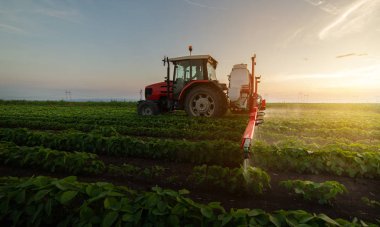 Traktör gün batımında soya tarlası püskürtüyor.. 