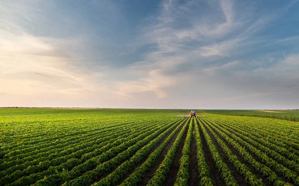 Traktor sprutning sojabönsfält i solnedgången. — Stockfoto