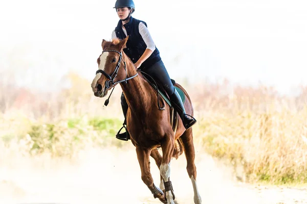 Ung söt flicka rider en häst i höst — Stockfoto
