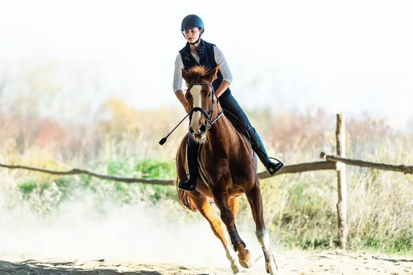 Mladá hezká dívka na koni na podzim — Stock fotografie