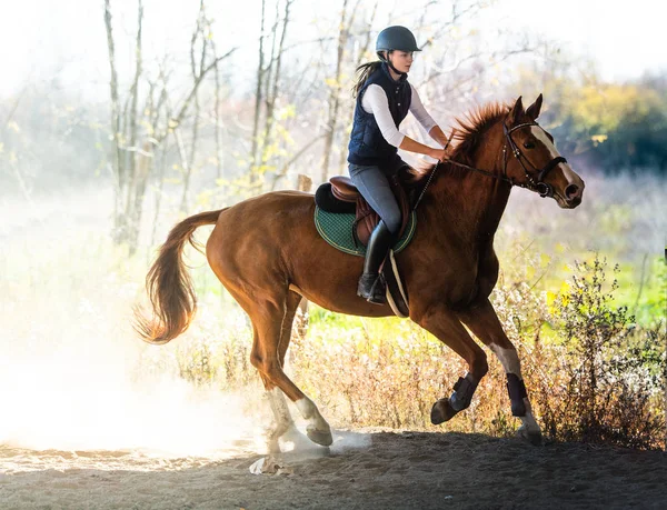 Jovem menina bonita montando um cavalo no outono — Fotografia de Stock