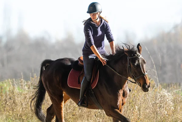 Young girl riding a horse — Stock Photo, Image