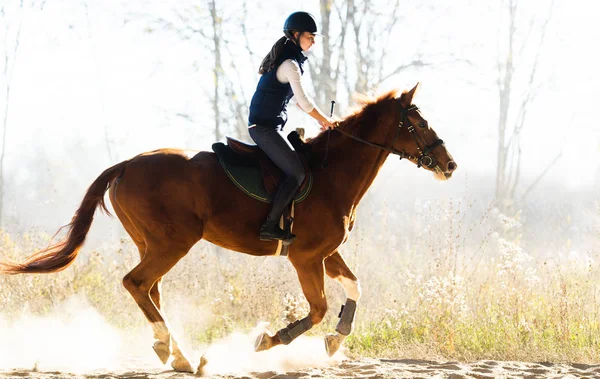 Jeune fille chevauchant un cheval — Photo