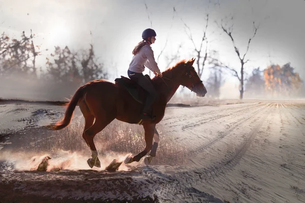 Young girl riding a horse — Stock Photo, Image