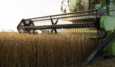 Yaz güneşinde hasat makinesi iş başında