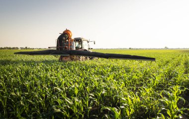 Traktör püskürtme mısır tarlası 