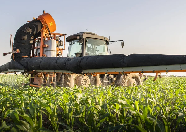 Trator pulverizando campo de milho — Fotografia de Stock