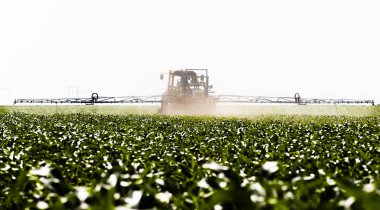 Traktör püskürtme mısır tarlası 