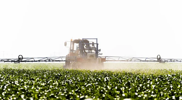 Tractor rociando campo de maíz —  Fotos de Stock