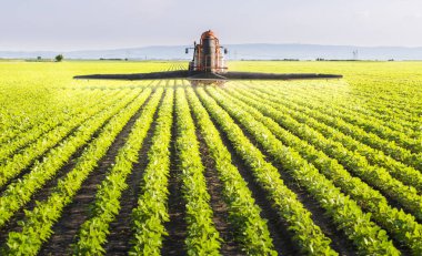 Gün batımında traktör soya tarlası püskürtüyor..